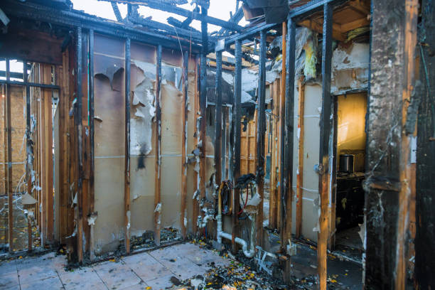 Professional Soot Cleanup technician working in Hokendauqua, PA